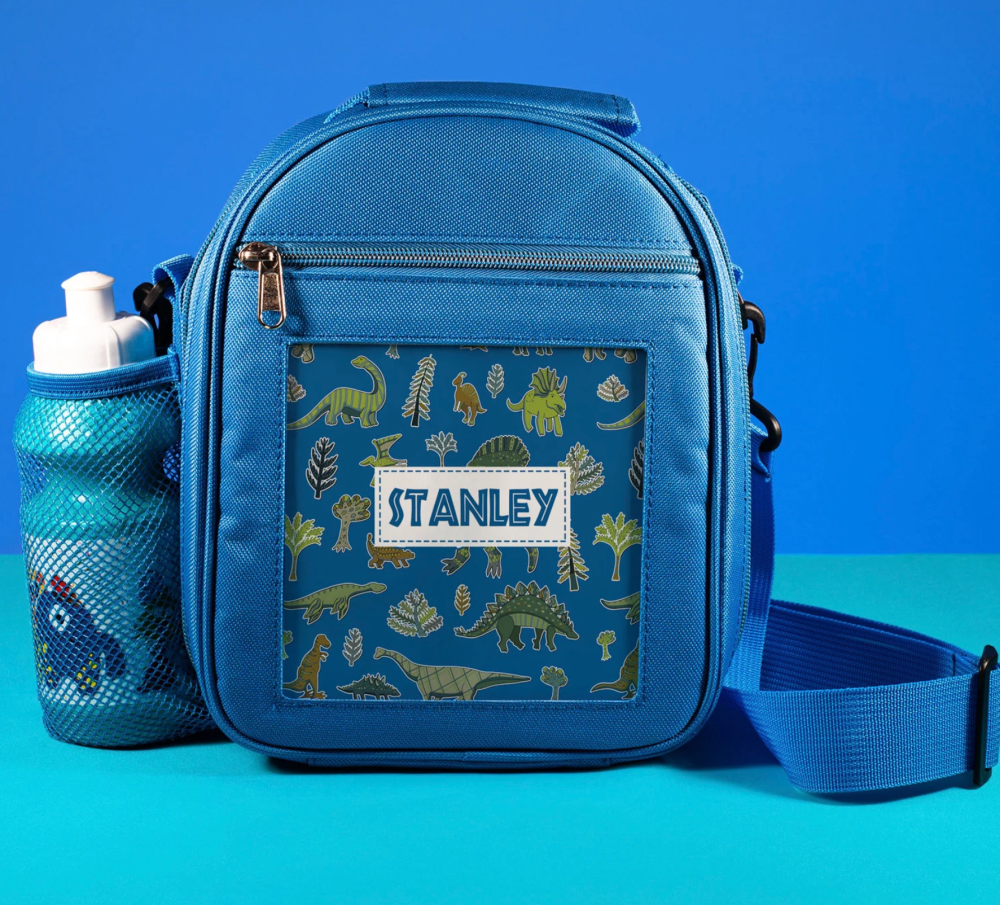 Cool dinosaur birthday gifts for three year old boys