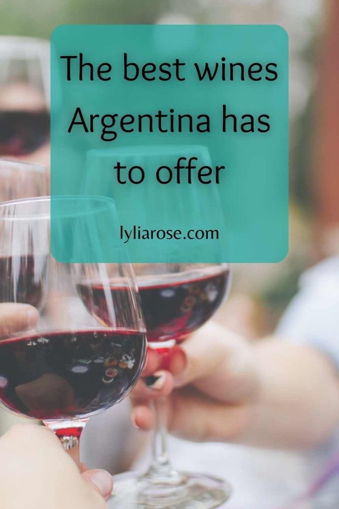 The best wines Argentina has to offer