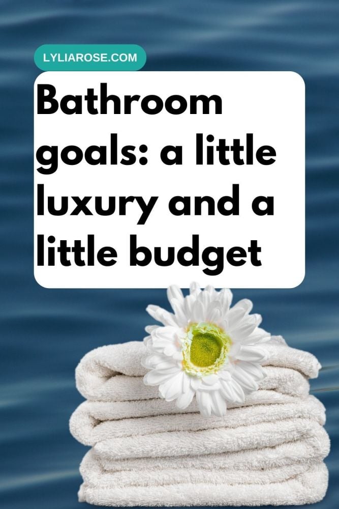 Bathroom goals a little luxury and a little budget