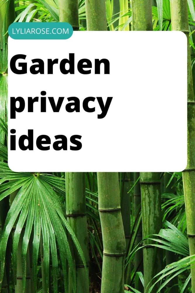 garden privacy ideas