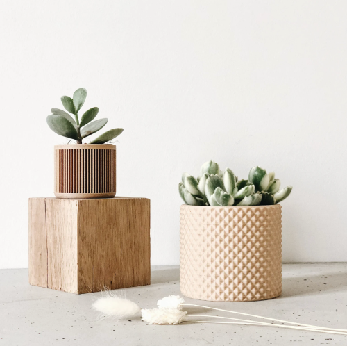 indoor desk planter