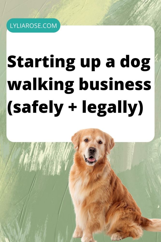 Starting up a dog walking business (safely + legally)