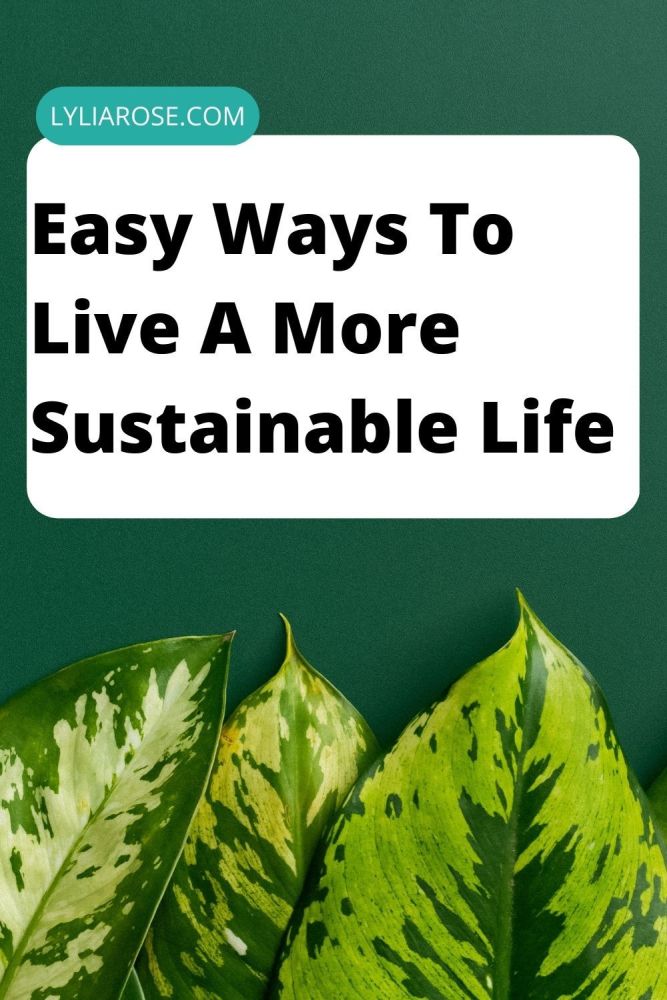 Easy Ways To Live A More Sustainable Life