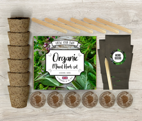 grow your own herbs kit