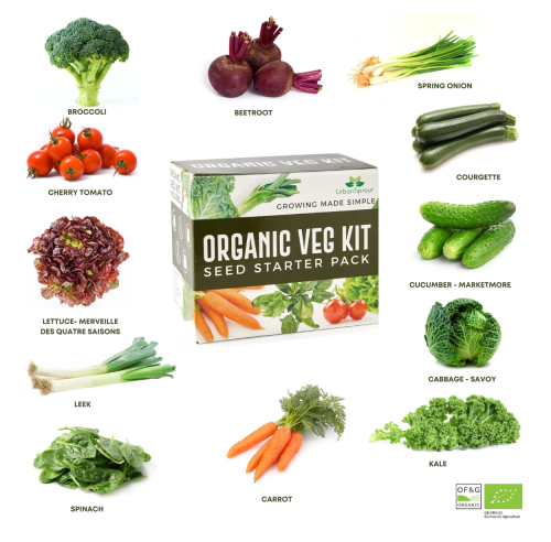 grow your own organic vegetables kit
