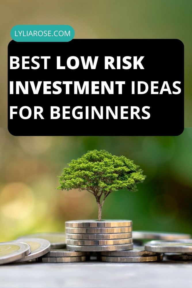 Best Low Risk Investment Ideas For Beginners