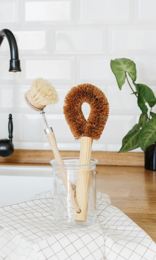 eco dish brushes