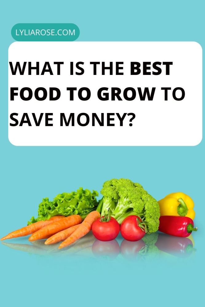 What is the Best Food to Grow to Save Money
