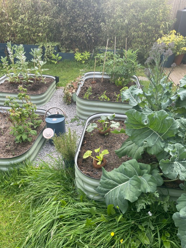 outdoor green metal vegetable beds Transform Your Garden into a Multifunctional Space