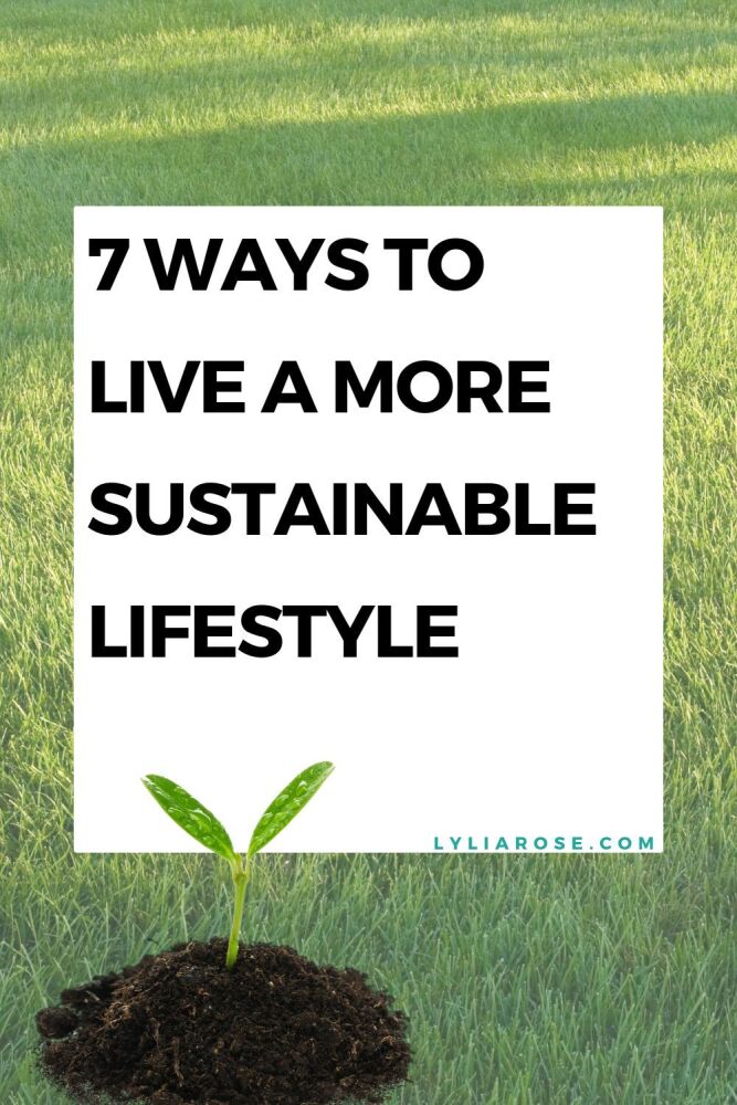 7 ways to live a more sustainable lifestyle