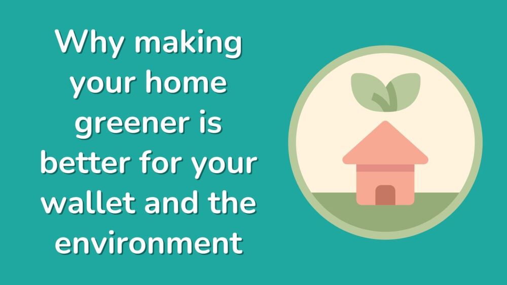 Why making your home greener is better for your wallet and the environment
