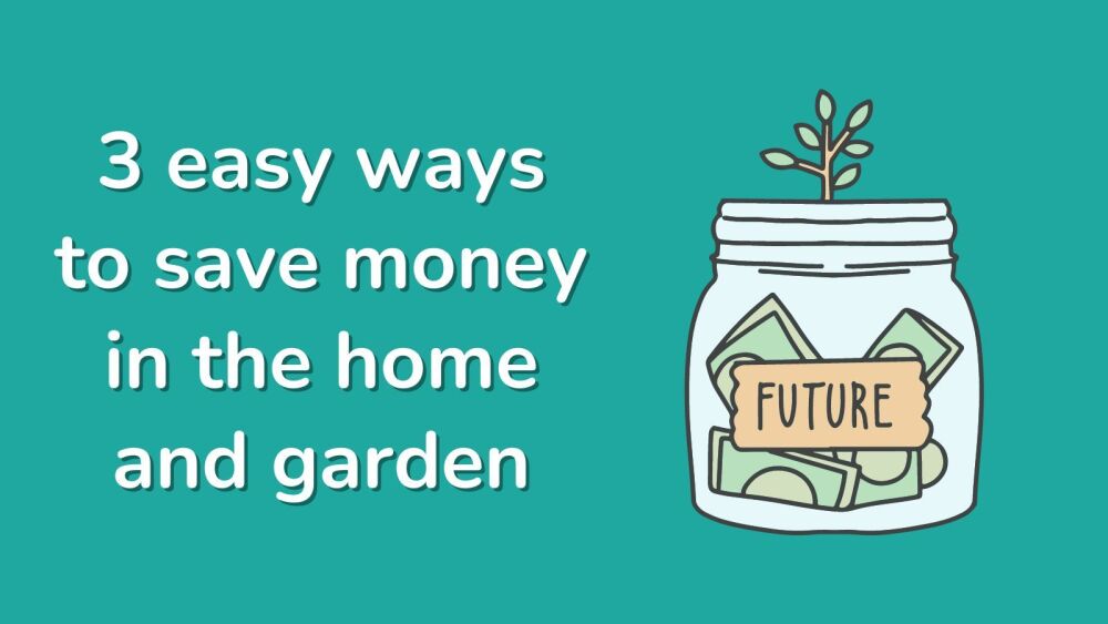 3 easy ways to save money in the home + garden