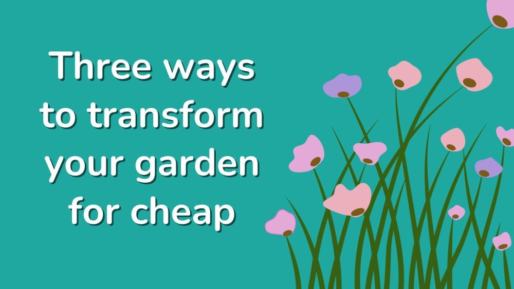 Three ways to transform your garden for cheap
