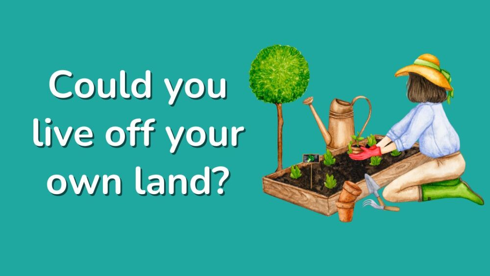 Could you live off your own land