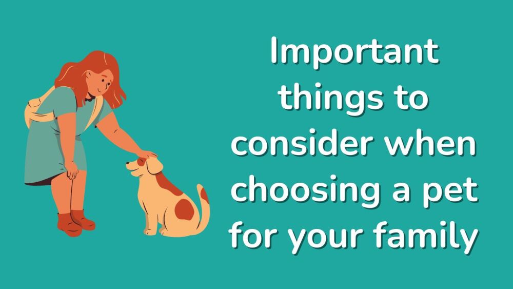 Important things to consider when choosing a pet for your family
