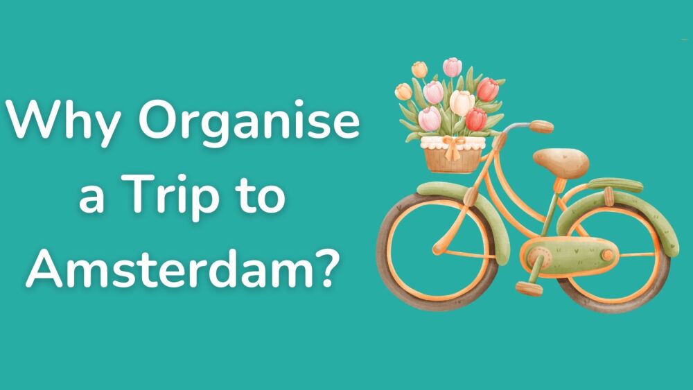 Why organise a trip to Amsterdam