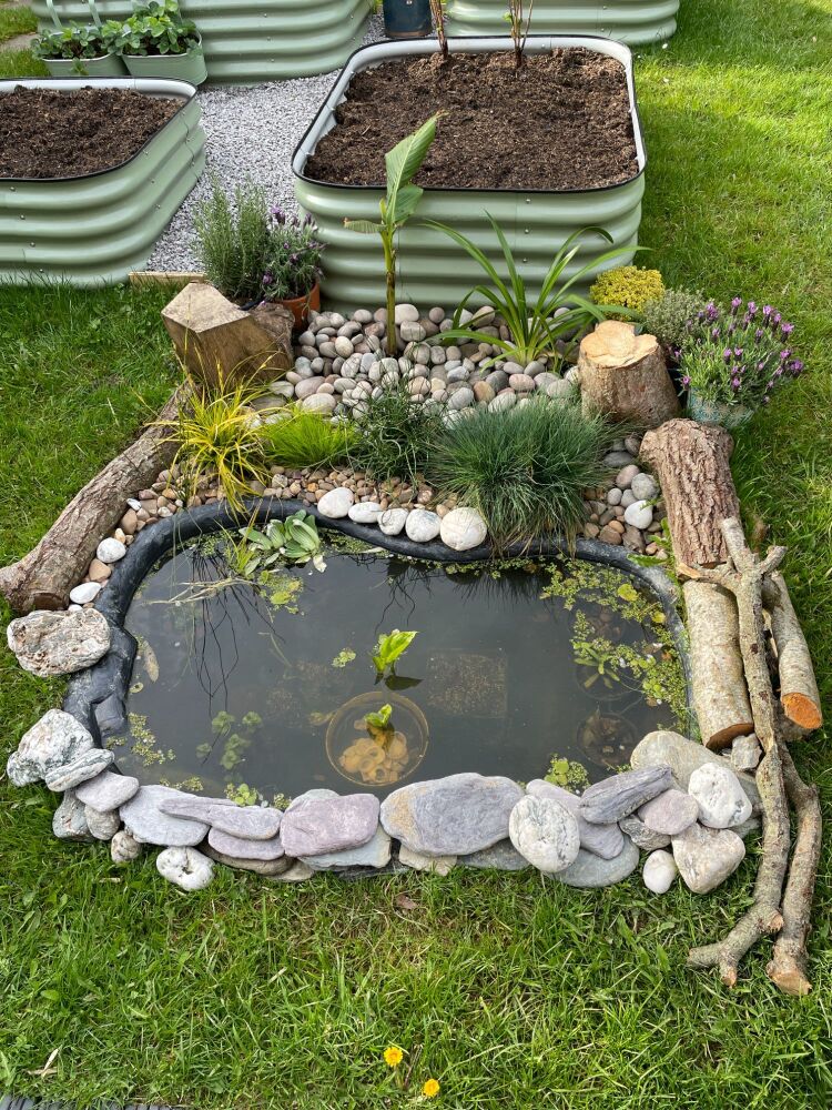 Newly installed wild pond for wildlife ready to grow