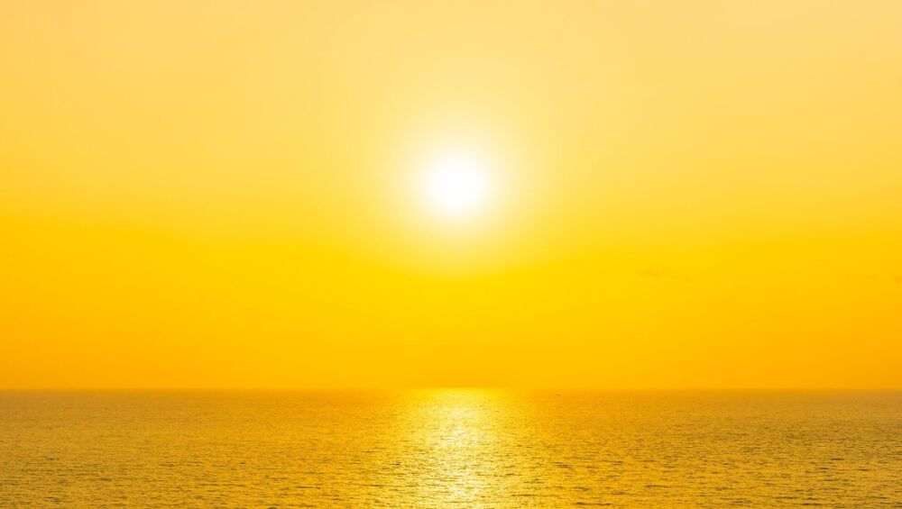 Why vitamin D is so important (especially in UK winters)