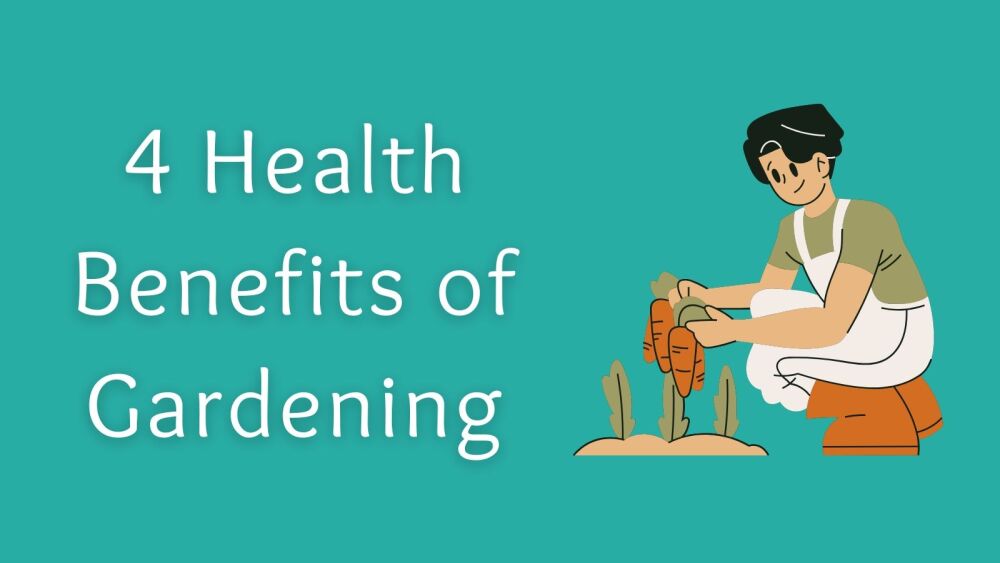 4 Health Benefits of Gardening