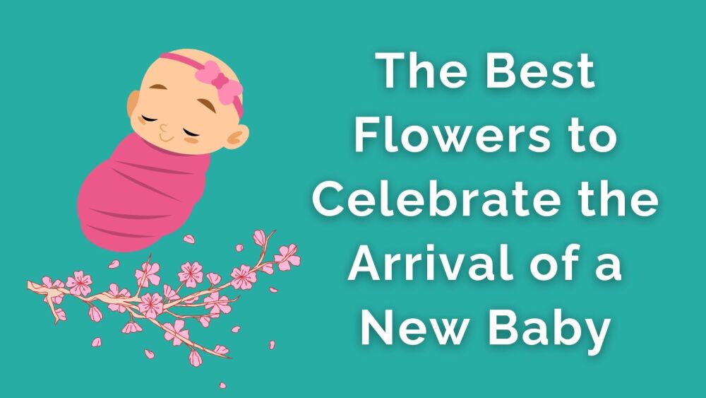 The Best Flowers to Celebrate the Arrival of a New Baby in London