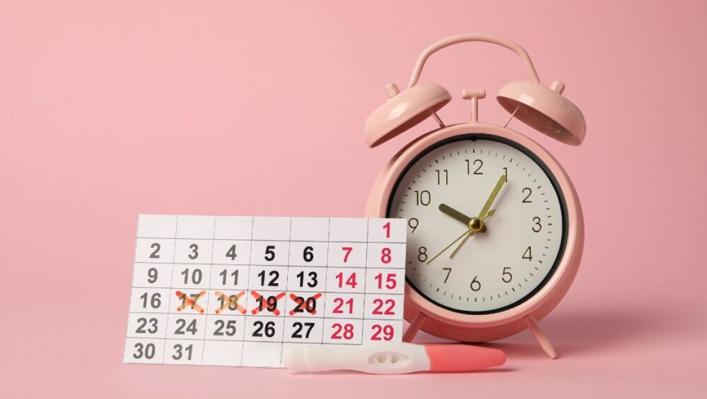 Signs of Your Fertile Window Boost Your Chances of Conception for Free (1)