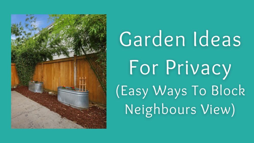 Garden Ideas For Privacy (Easy Ways To Block Neighbours View)