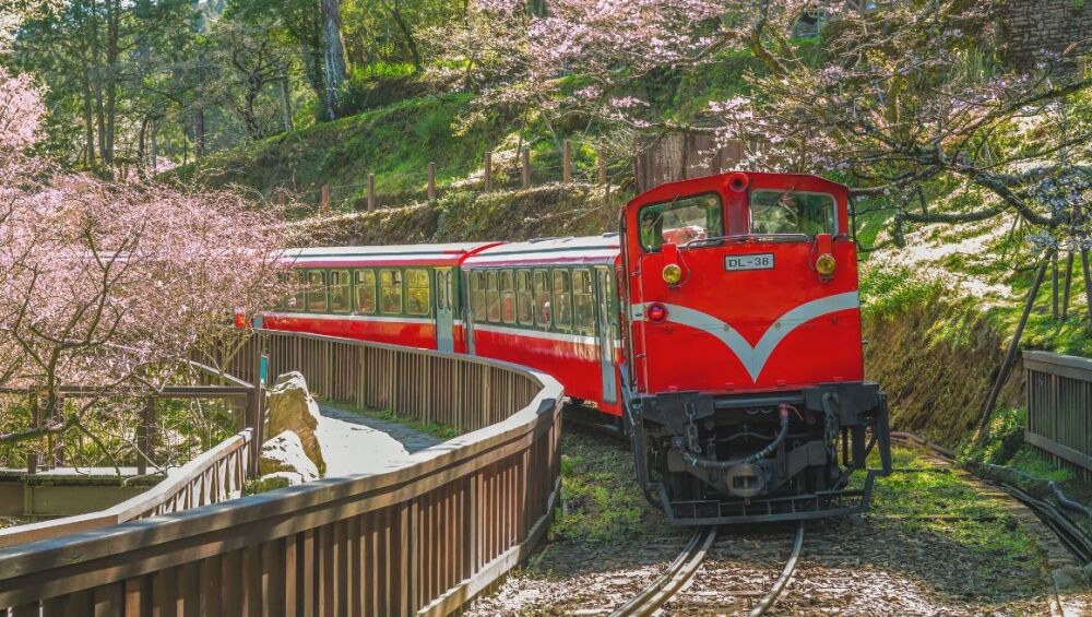 Railway in Alishan Forest Recreation Area, Taiwan
