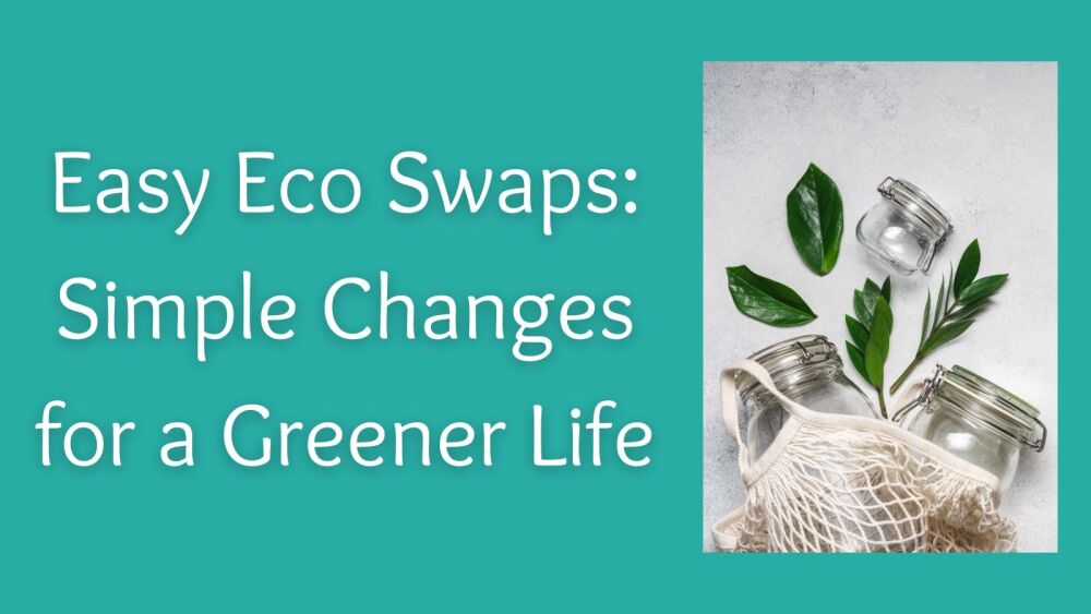Easy Eco Swaps Simple Changes for a Greener Life
