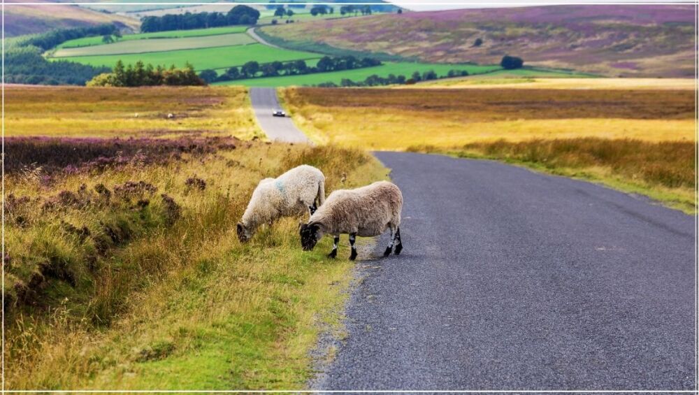 Road Tripping Around the Moors