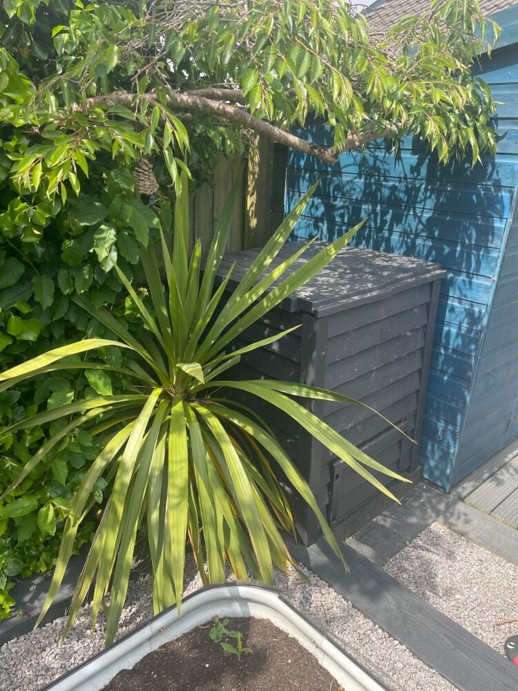 hot compost bin in uk garden
