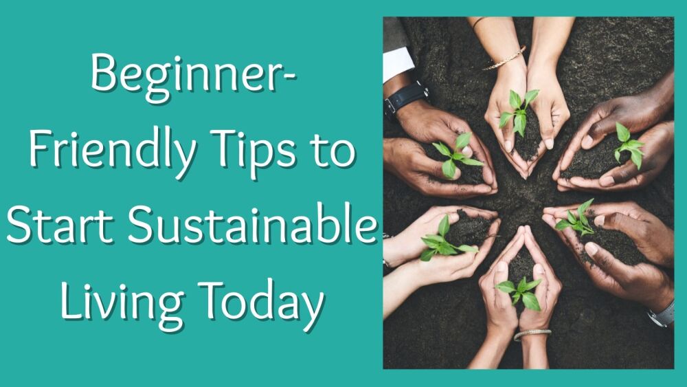 Beginner-Friendly Tips to Start Sustainable Living Today (1)