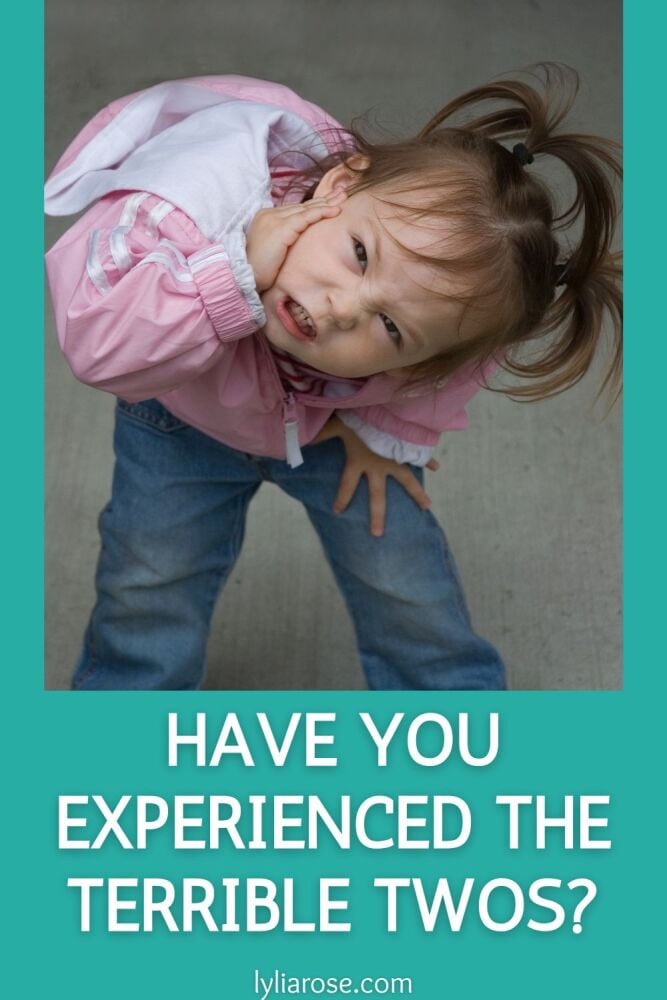 Have You Experienced the Terrible Twos Have You Experienced the Terrible Twos
