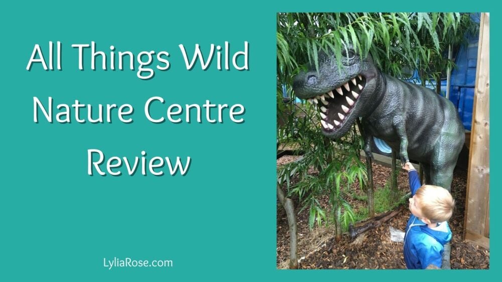 All Things Wild Nature Centre Review (1) All Things Wild Nature Centre Review (1)