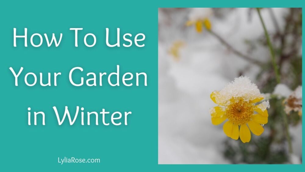 How To Use Your Garden in Winter How To Use Your Garden in Winter