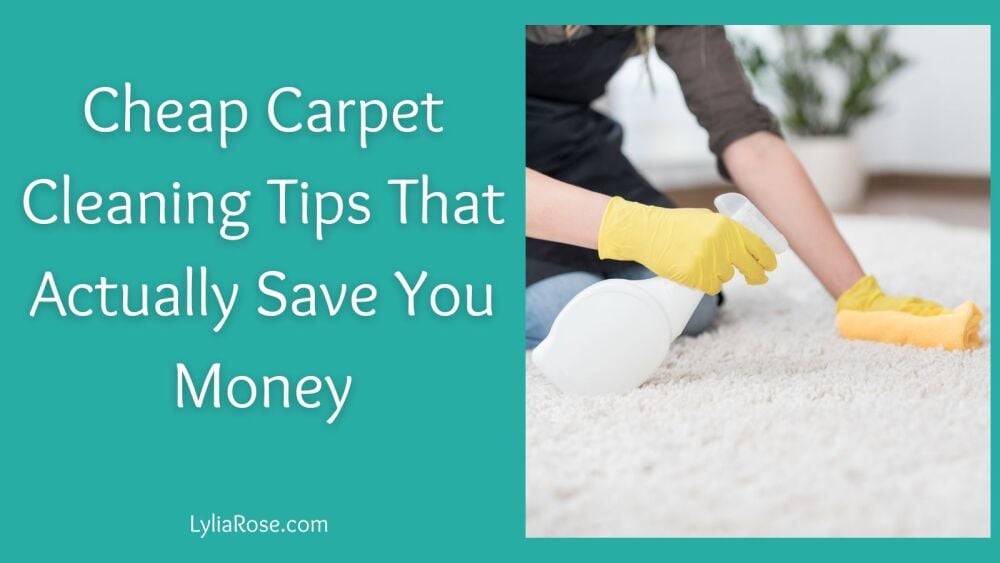 Cheap Carpet Cleaning Tips That Actually Save You Money