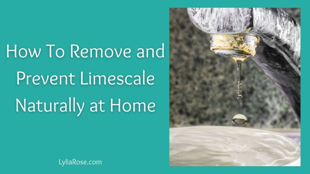 How To Remove and Prevent Limescale Naturally at Home How To Remove and Prevent Limescale Naturally at Home