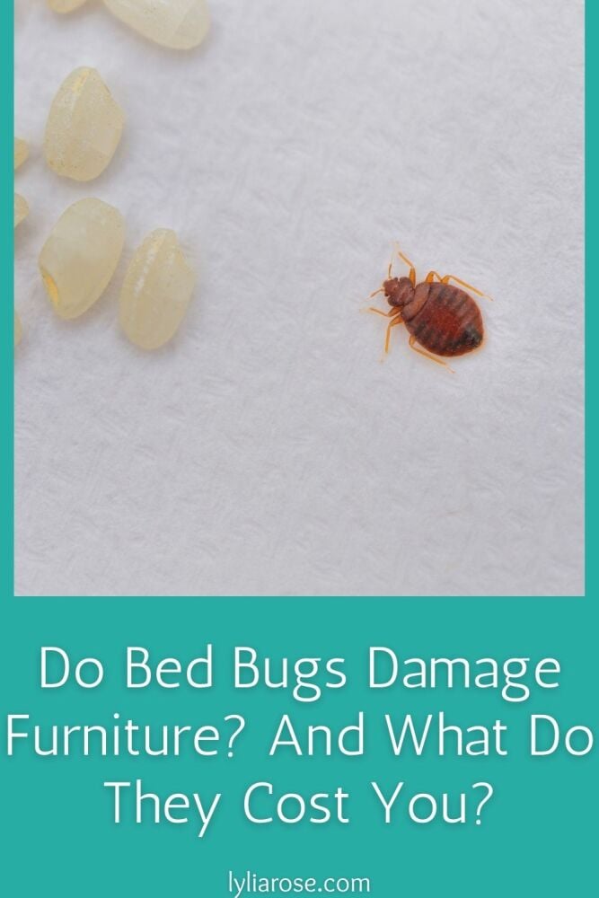 Do Bed Bugs Damage Furniture And What Do They Cost You (1) Do Bed Bugs Damage Furniture And What Do They Cost You (1)