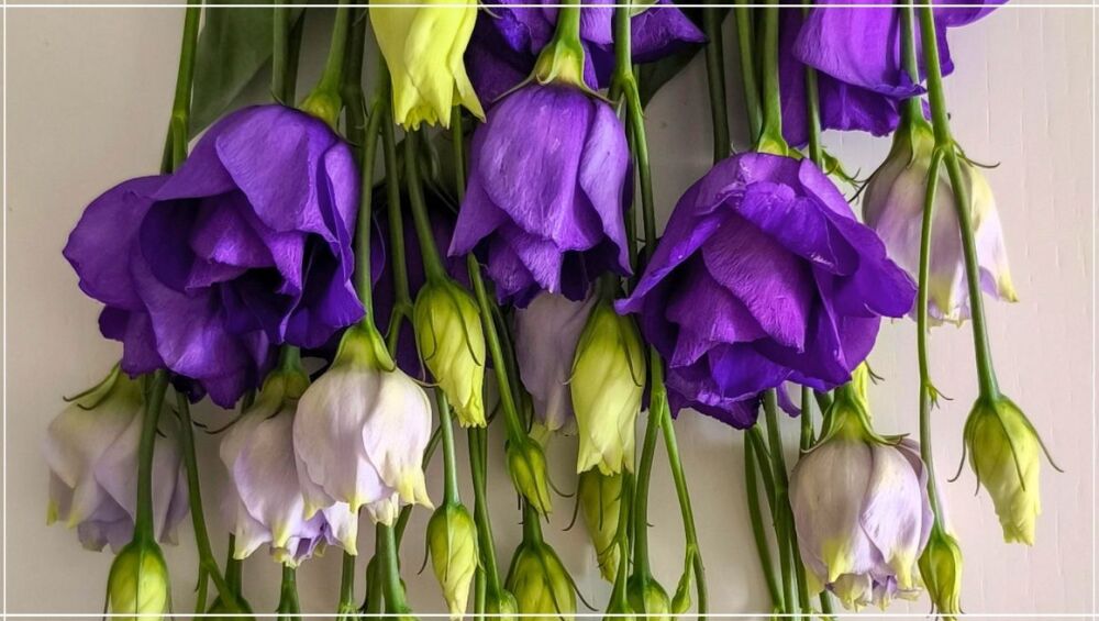 How to Choose the Perfect Flower Arrangement for Your Loved One (1)