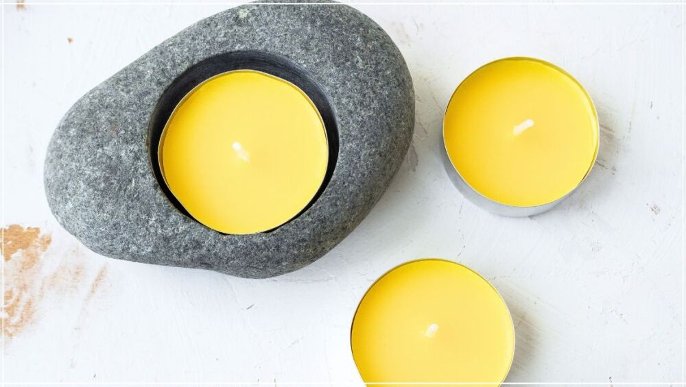 How To Keep Pests Out of Your Home Naturally (UK Guide)