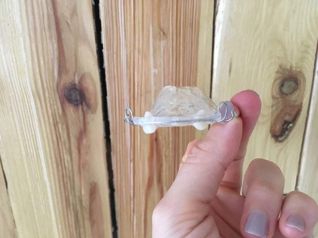 Hawley retainer front view with two false teeth