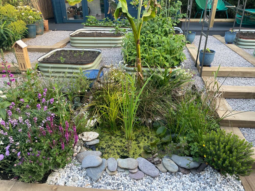 garden vegetable patches pond wildflowers insect bee house garden vegetable patches pond wildflowers insect bee house