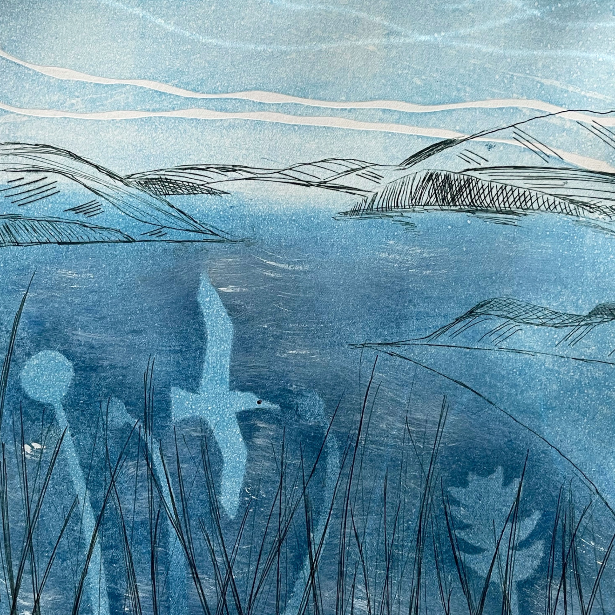DRYPOINT 1