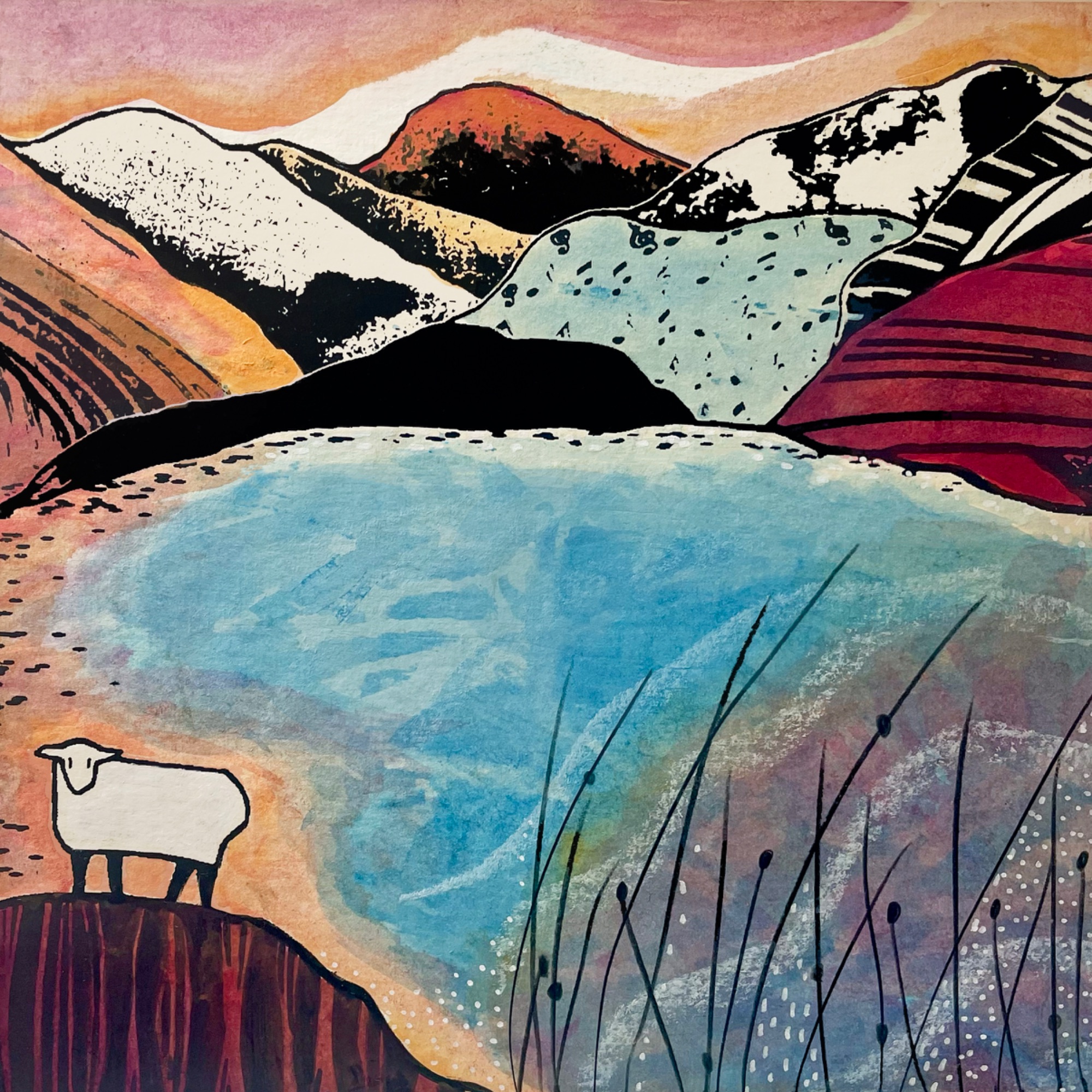 sheep1