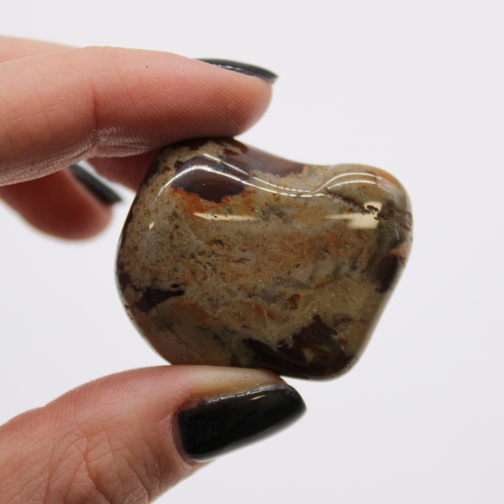 Large African Tumble Stones - Jasper Nguni