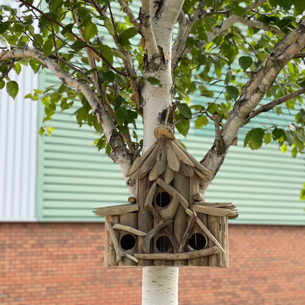 Driftwood Birdbox - Croft