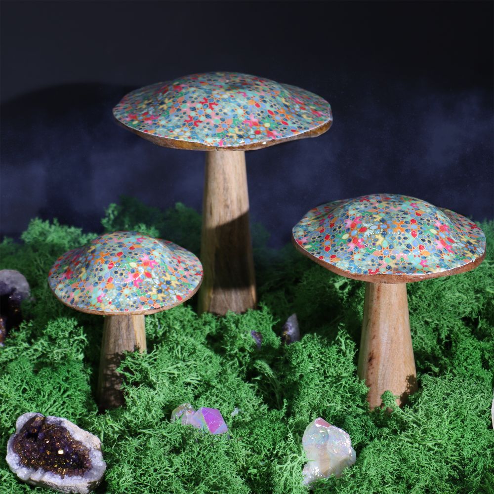 Wooden Enamelled Mushrooms