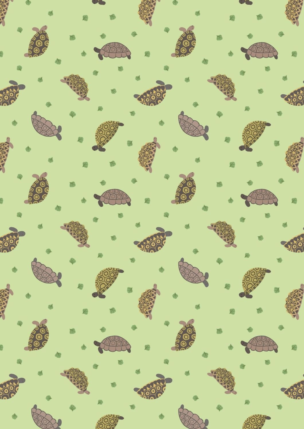 Lewis and Irene - Small Things Pets - Tortoises on Light Green