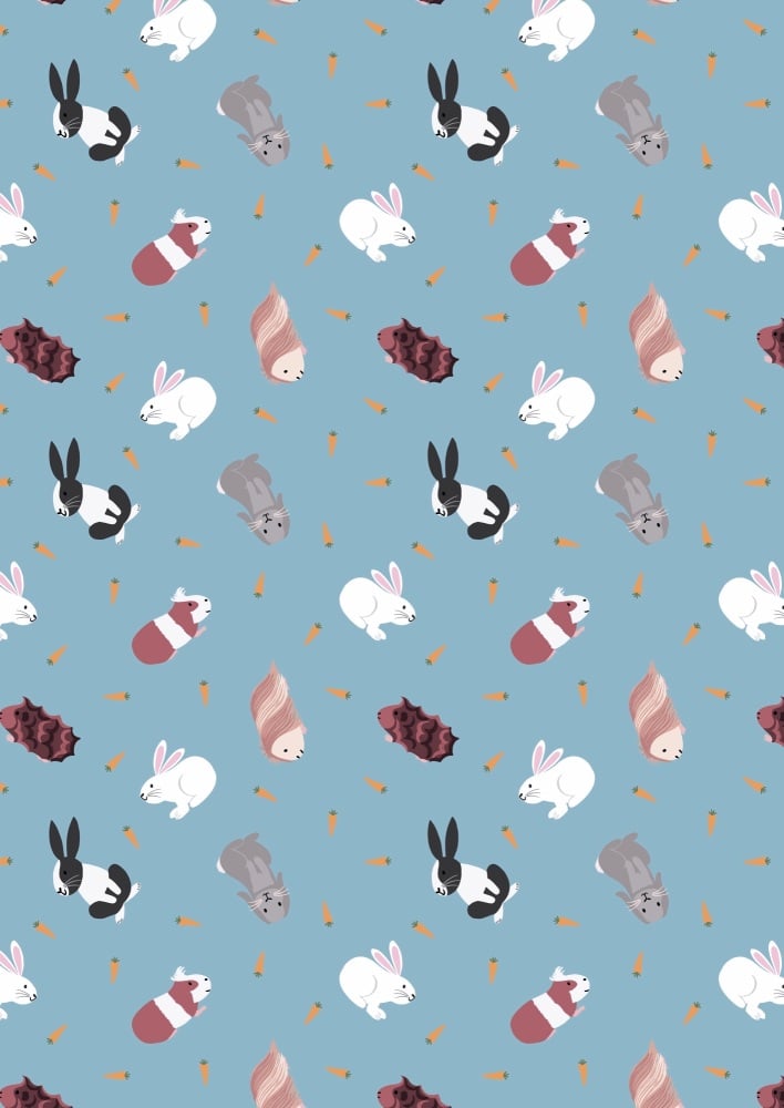 Lewis and Irene - Small Things Pets - Rabbits and Guinea Pigs on Turquoise