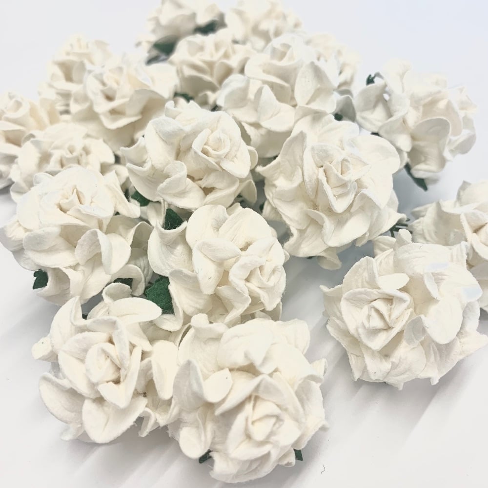 <!--010--> Mulberry Paper Flower - Tuscany Roses