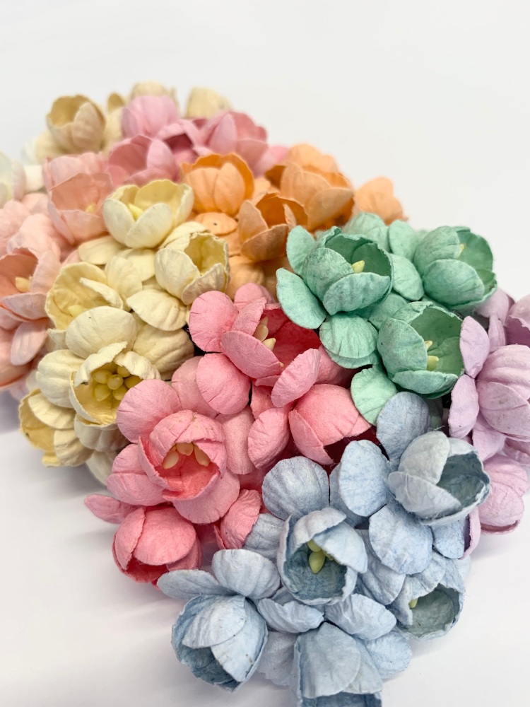  Mulberry Paper Flowers - Cherry Blossoms  - Mixed Pastel Pack